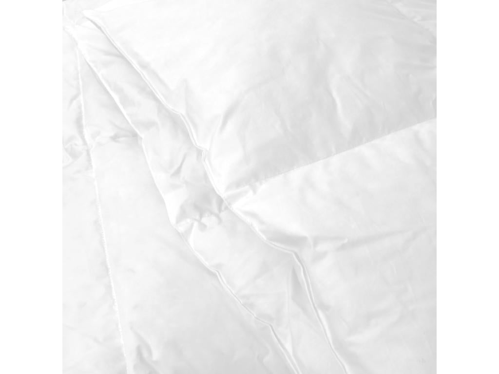 Couette 200x200 cm hiver Ventoriq garnissage naturel duvet de canard 500 g/m2 AROI83078