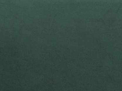 Canapé 4 places convertible express en velours vert sapin - Couchage 160 cm - Matelas 18 cm Ventoriq OFEQ99806