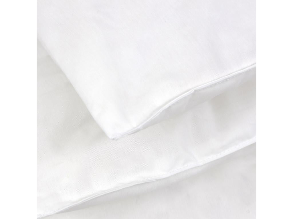 Couette 200x200 cm hiver Ventoriq garnissage naturel duvet de canard 500 g/m2 AROI83078