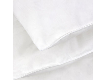 Couette 200x200 cm hiver Ventoriq garnissage naturel duvet de canard 500 g/m2 AROI83078